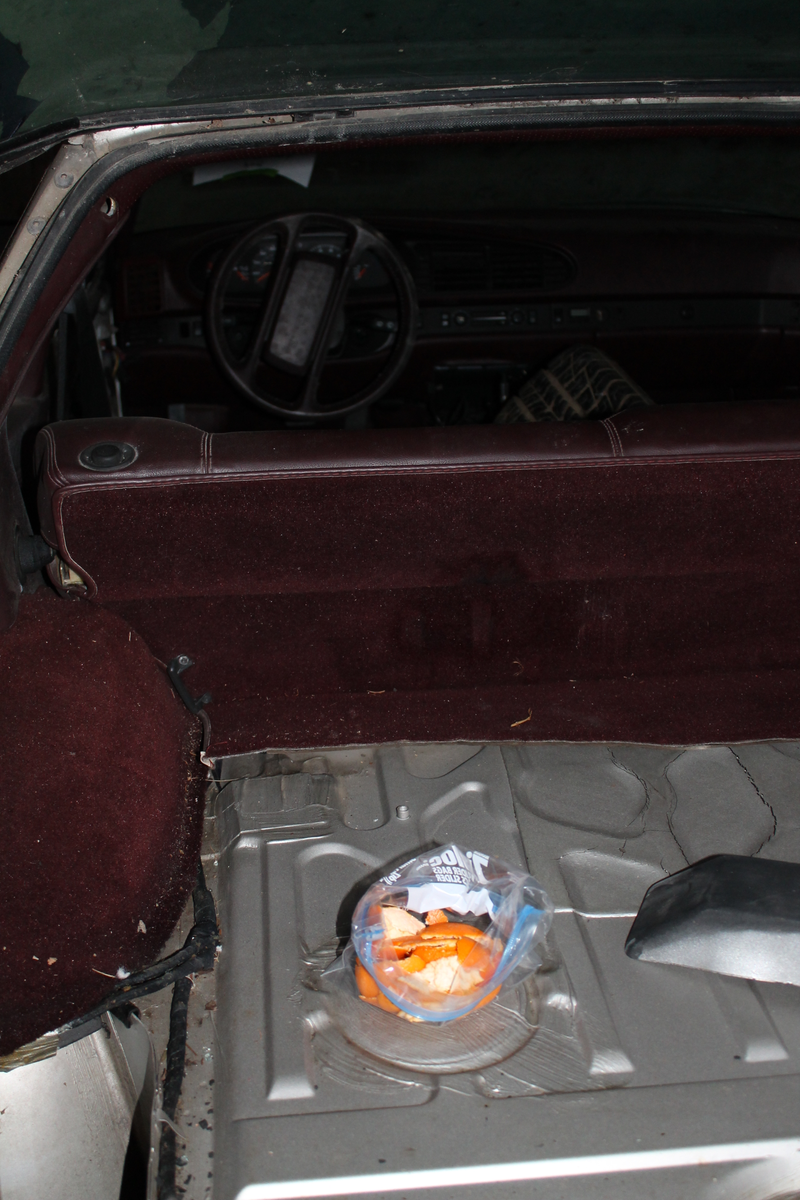 Illustration for article titled How To Destankify Your Car Cheaply And Without Chemicals